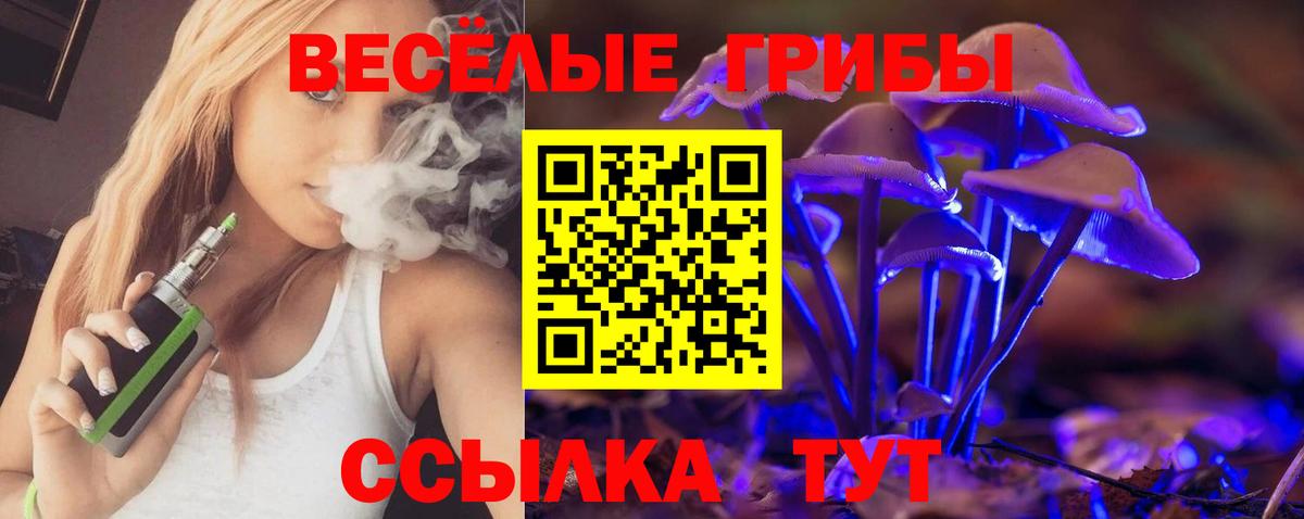 Туймазы  Галлюциногенные грибы Psilocybe  Псилоцибиновые грибы MAGIC MUSHROOMS  Вход с VPN 
